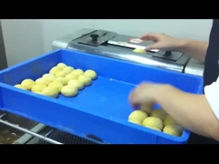 CG-38 tostapane elettrico